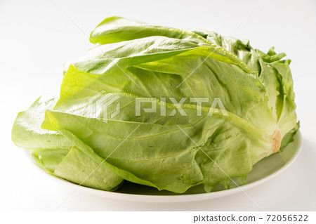 Salad vegetables (a type of lettuce). (White background) 72056522