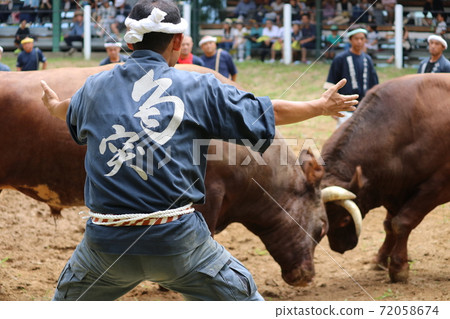 Cow horn poke 72058674