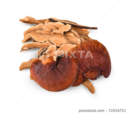 Lingzhi mushroom have medicinal properties and on a white background. Lingzhi mushroom have medicinal properties and on a white background. 72058752