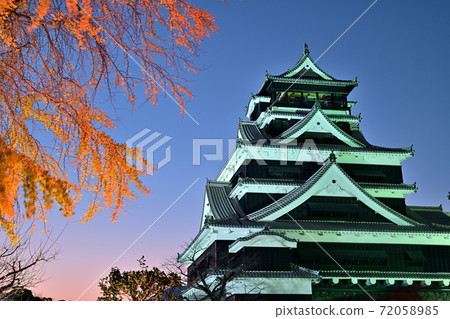 Kumamoto City Restoration Kumamoto Castle Illuminated 72058985