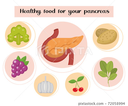 Healthy food for your pancreas. Concept of food and vitamins, medicine, prevention of pancreatic diseases. Vector illustration Healthy food for your pancreas. Concept of food and vitamins, medicine, prevention of pancreatic diseases. Vector illustration 72058994