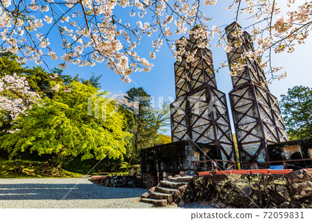 （靜岡縣）Na山反射爐櫻花季節 72059831