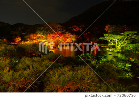[香川縣高松市]栗林公園，秋天在夜間照明，日本庭園 72060756