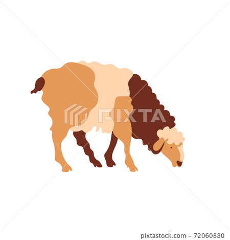Sheep silhouette made of multi-colored segments. Farm illustration. 72060880