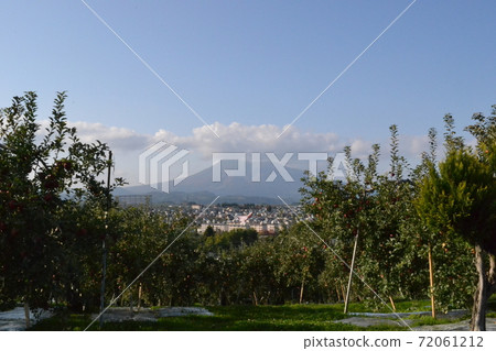 View of Mt. Iwaki from the apple garden on the outskirts of Hirosaki in early winter 72061212