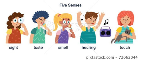 Boys and girls demonstrating five human senses. Kids set for learning material 72062044