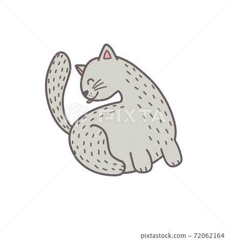 Cute grey cat licking his back isolated element. Feline character 72062164