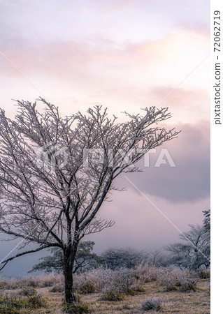 Rime on the Takabotchi plateau dyed in the morning sun [Nagano Prefecture] 72062719