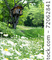 洋甘菊領域和樹屋 72062841