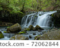 新鮮的綠色和瀑布 72062844