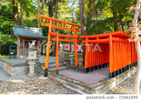[Shiga Prefecture] Taga Taisha Shrine 72062899