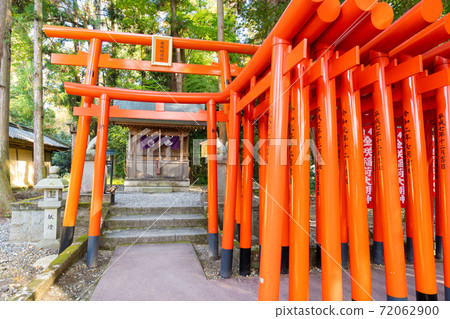 [Shiga Prefecture] Taga Taisha Shrine 72062900