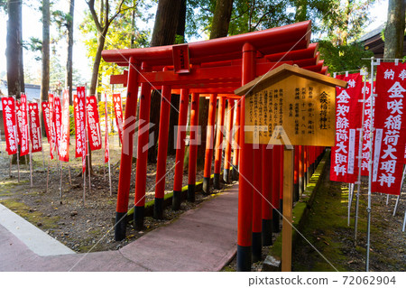 [Shiga Prefecture] Taga Taisha Shrine 72062904