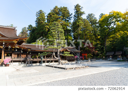 [Shiga Prefecture] Taga Taisha Shrine 72062914