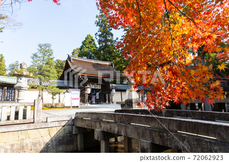 [Shiga Prefecture] Taga Taisha Shrine 72062923