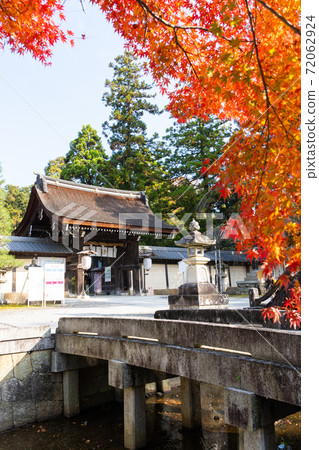 [滋賀縣]大田大社 72062924