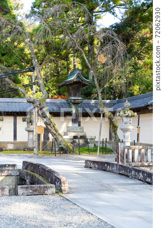 [Shiga Prefecture] Taga Taisha Shrine 72062930