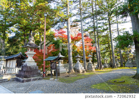 [Shiga Prefecture] Taga Taisha Shrine 72062932
