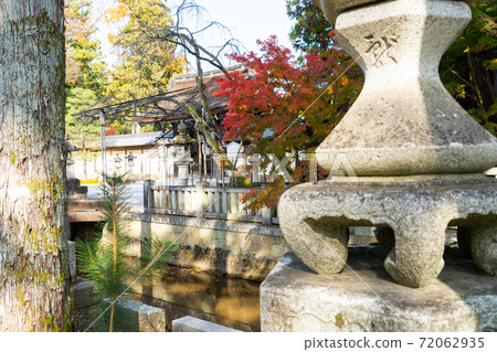 [滋賀縣]大田大社 72062935