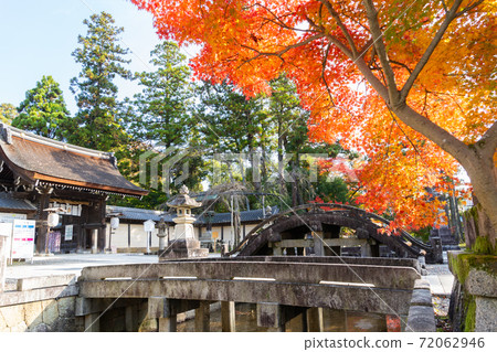 [Shiga Prefecture] Taga Taisha Shrine 72062946