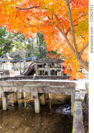 [Shiga Prefecture] Taga Taisha Shrine 72062951