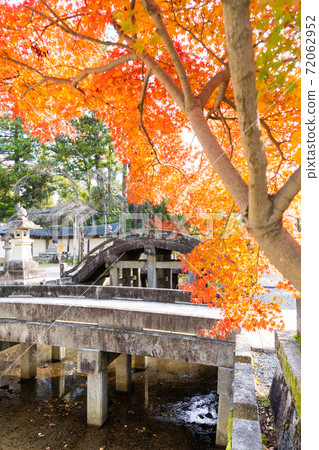 [滋賀縣]大田大社 72062952