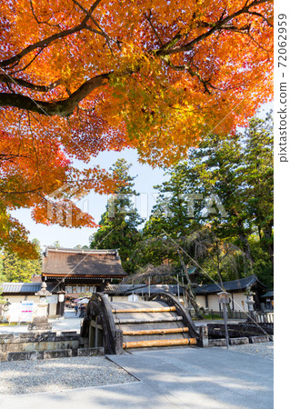 [Shiga Prefecture] Taga Taisha Shrine 72062959