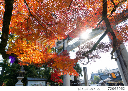 [Shiga Prefecture] Taga Taisha Shrine 72062962