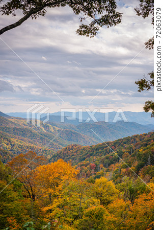 Great Smoky Mountains National Park, Tennessee, USA at the Newfound Pass 72063079
