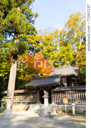 [Shiga Prefecture] Taga Taisha Shrine 72063187