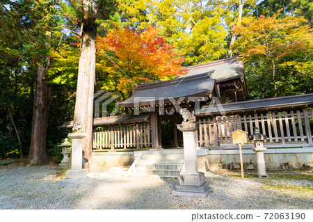 [Shiga Prefecture] Taga Taisha Shrine 72063190