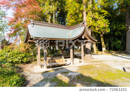 [Shiga Prefecture] Taga Taisha Shrine 72063201