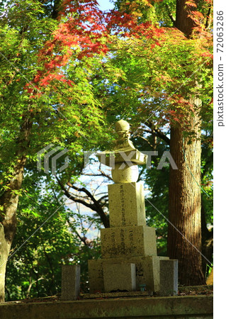 Autumn leaves and memorial tower Autumn leaves and memorial tower 72063286