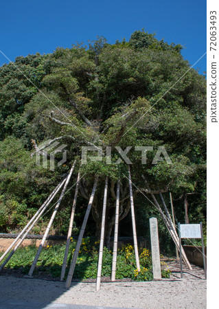 岡山縣井原市高山寺由井原市指定的紀念館 岡山縣井原市高山寺由井原市指定的紀念館 72063493