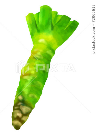 wasabi  72063615