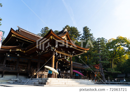 [Shiga Prefecture] Taga Taisha Shrine 72063721