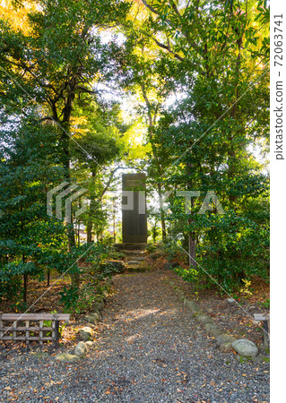 [滋賀縣]大田大社 72063741