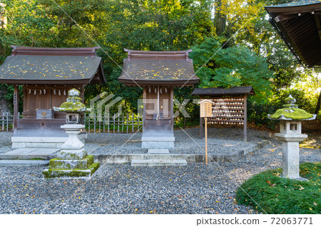 [Shiga Prefecture] Taga Taisha Shrine 72063771