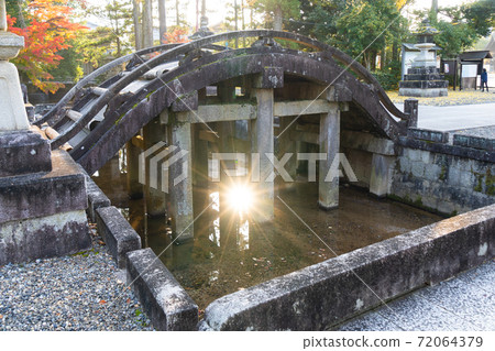 [Shiga Prefecture] Taga Taisha Shrine 72064379