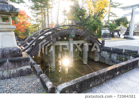 [Shiga Prefecture] Taga Taisha Shrine 72064381