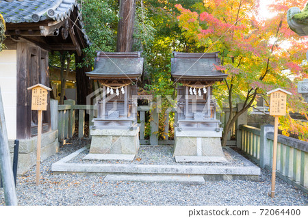 [Shiga Prefecture] Taga Taisha Shrine 72064400