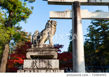 [Shiga Prefecture] Taga Taisha Shrine 72064445