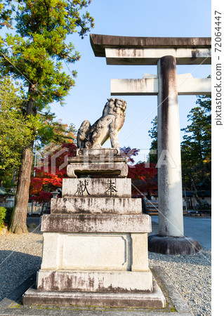 [Shiga Prefecture] Taga Taisha Shrine 72064447