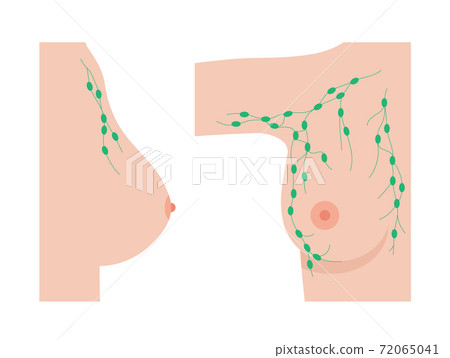 Breast disease concept Breast disease concept 72065041