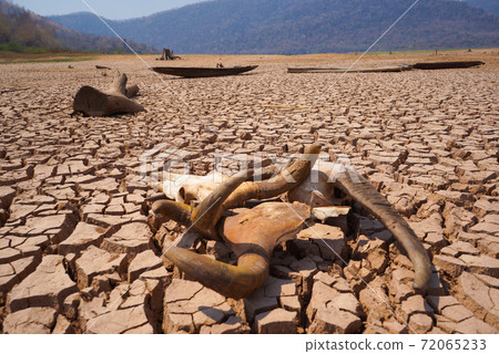 The drought land texture in Thailand. The global shortage of water on the planet. Global warming and greenhouse effect concept The drought land texture in Thailand. The global shortage of water on the planet. Global warming and greenhouse effect concept 72065233