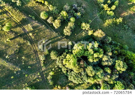 Top view of trees and a road in Russia Top view of trees and a road in Russia 72065784