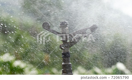 Water sprinkler system in the coffee plantation. 72065790