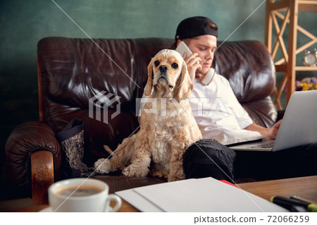 Young man working on laptop computer sitting at home with a dog pet and leaning during Coronavirus or Covid-19 quarantine Young man working on laptop computer sitting at home with a dog pet and leaning during Coronavirus or Covid-19 quarantine 72066259