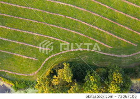 Side of a mowed meadow with stripes of dry hay with trees growing around Side of a mowed meadow with stripes of dry hay with trees growing around 72067106