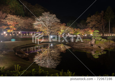 秋天的日本庭園風光[夜景/點亮] 72067286